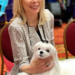 Photo of Sire - White male Maltese puppy in Phoenix, Arizona from Bella Dolce Maltese