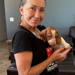 AKC 'Buffalo Bill Cody' - Red male Dachshund puppy in Joshua Tree, California from Desert Dreams Ranch
