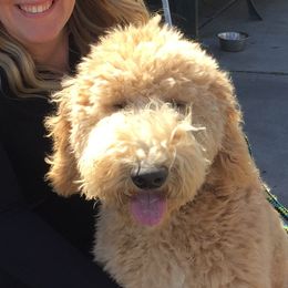 Scout cooper - TBD