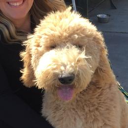 Scout cooper - TBD