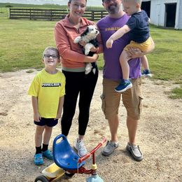 Bernedoodle and Goldendoodle Puppies from BrookeMarie’s Goldendoodle Love