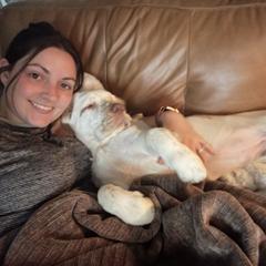 Clumber Spaniel Puppies from Wanderlust Clumber Spaniels