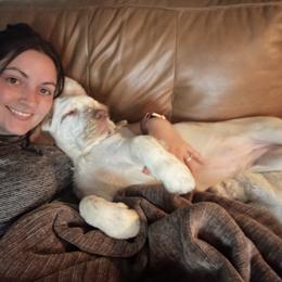 Clumber Spaniel Puppies from Wanderlust Clumber Spaniels