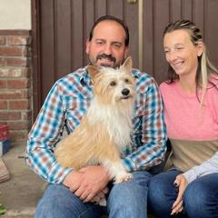 Nova - White and fawn male Portuguese Podengo Pequeno puppy in East Oakdale, California from Tango Kennels