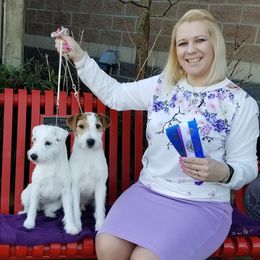 Australian Shepherds and Parson Russell Terriers from Zoolo Kennels