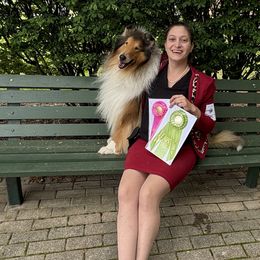 Collies from Thunderstruck Collies