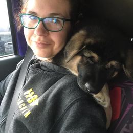 German Shepherd Puppies from Haus Des Bergschatten