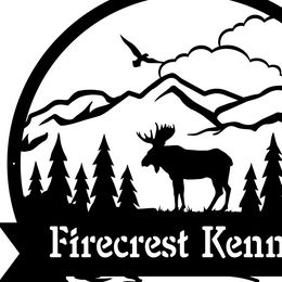Flat-Coated Retrievers and Labrador Retrievers from Firecrest Kennels
