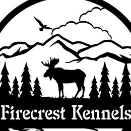 Flat-Coated Retrievers and Labrador Retrievers from Firecrest Kennels