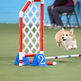 Pembroke Welsh Corgi Puppies from Outlands Corgis