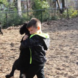 Poodle Puppies from Simply Standard Poodles