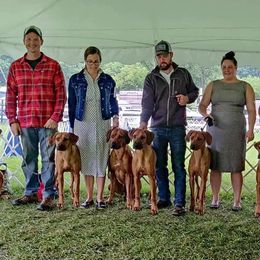 Rhodesian Ridgeback Puppies from Supernova Ridgebacks
