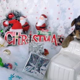 Teacup Rudolph - Black and tan male Yorkshire Terrier puppy in Lithonia, Georgia from Toy Yorkies Atlanta