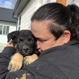 German Shepherd Puppies from Vom Haus Denfors K9