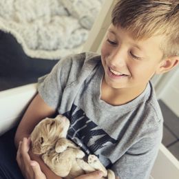 Australian Labradoodle Puppies from Ohio Valley Labradoodles