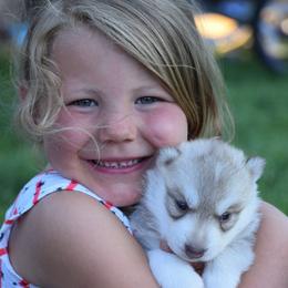 Siberian Husky Puppies from Pachodi Kennels