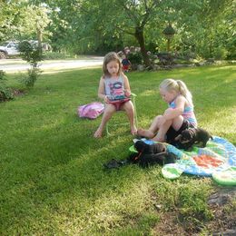 Airedale Terrier Puppies from Airedale Acres