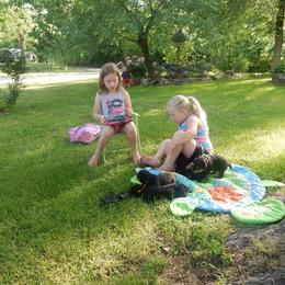 Airedale Terrier Puppies from Airedale Acres