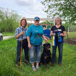 "AHBA herding trial, High in Trial HTAD-Sheep; Huey" Cardigan Welsh Corgi, Keeshond, and Rottweiler All Grown Up from KeeRocka Show Dogs