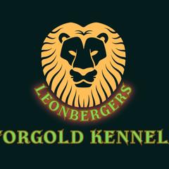Leonberger Puppies from Forgold Kennels