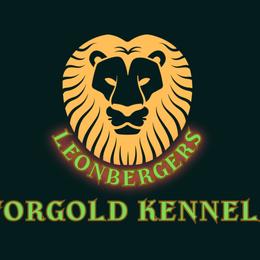 Leonberger Puppies from Forgold Kennels