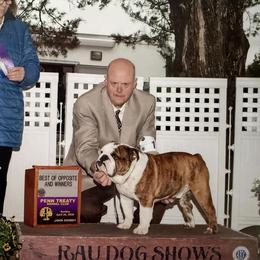 Ferdinand - Bulldog