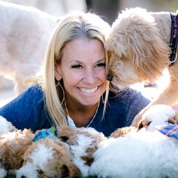 Poodle Puppies from Doodle Puppy Parti