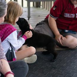 German Shepherd Puppies from Zwinger Vom Rabenauge