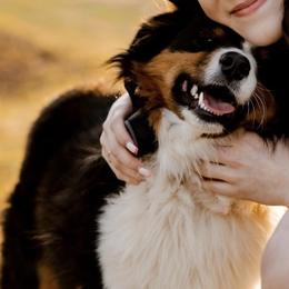 Australian Shepherds from Shaggy Shepherd Farm
