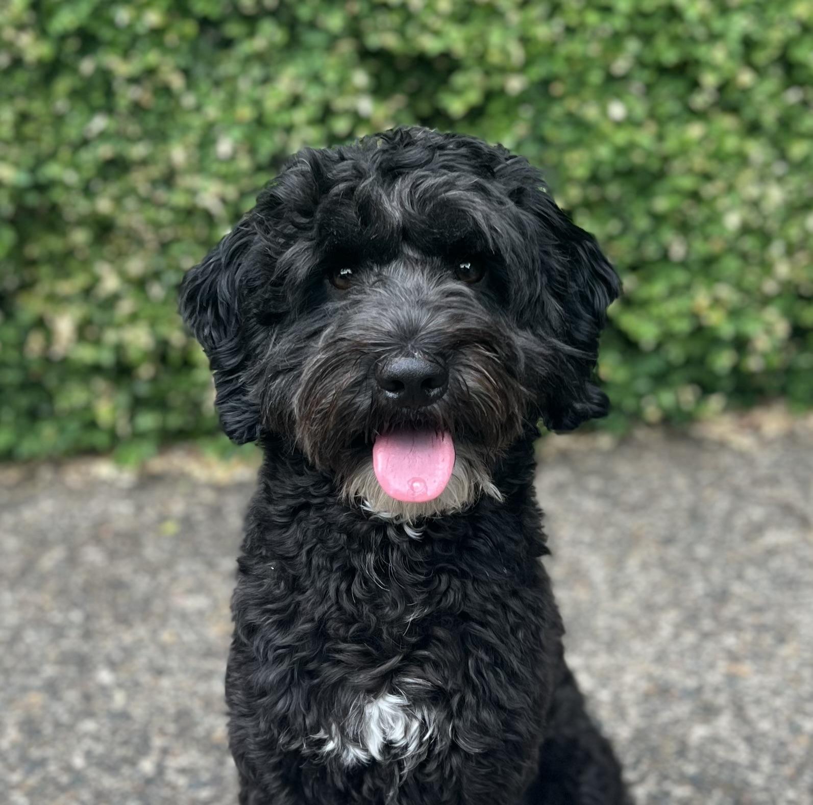 Benson