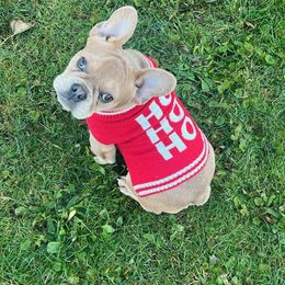 Versace - Cream French Bulldog puppy in Middletown, Rhode Island from Royal Frenchies LLC