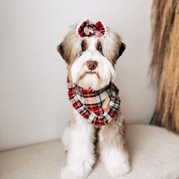Minnow- Guardian - Chocolate female Australian Labradoodle puppy in Syracuse, Indiana from The Doodle Cove