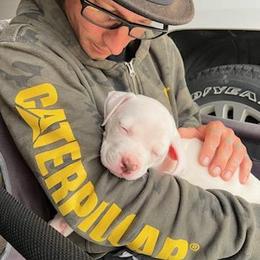 American Bulldog Puppies from Slayton's American Bulldogs