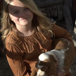 Aussiedoodles and Basset Hounds from Red Lake Bassets