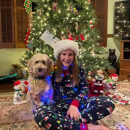 Goldendoodle, Poodle, and Sheepadoodle All Grown Up from Brewer's Goldendoodles & Sheepadoodles