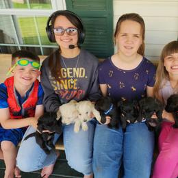 Scottish Terrier Puppies from Bluegrass Scottish Terriers