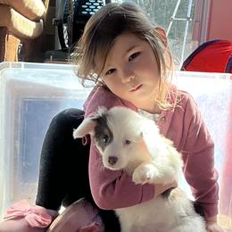 Puppy 4 - White and black female Pembroke Welsh Corgi puppy in Port Republic, Maryland from Bestfurends
