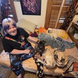Pug All Grown Up from Kapelac's Royal Pugs