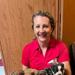 Boxer Puppies from Boone’s Boxers of North Carolina