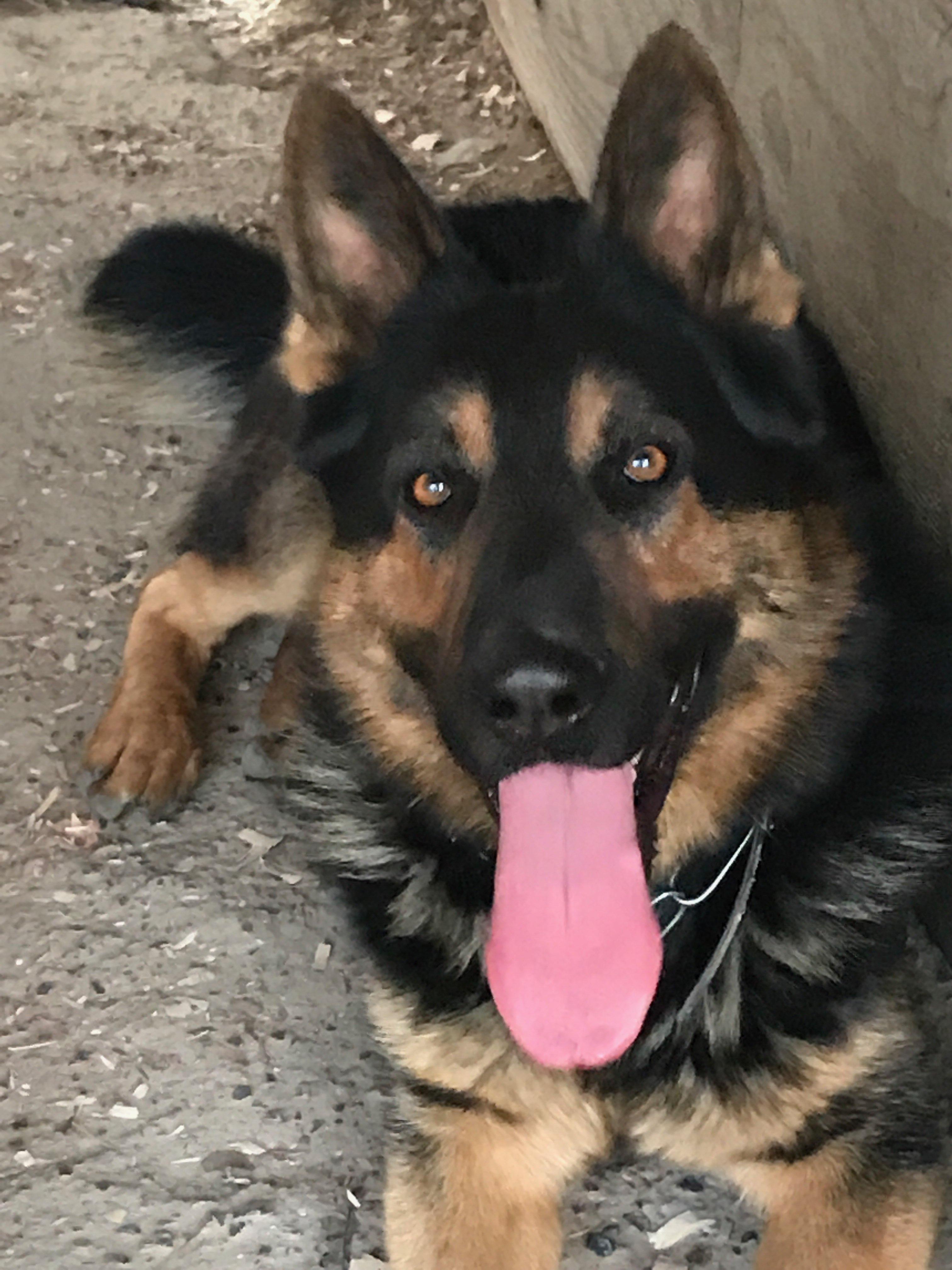 Zeus