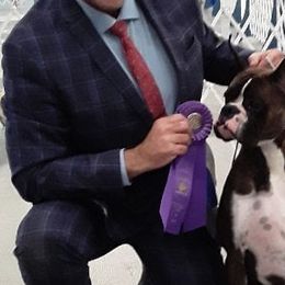 Boxers, French Bulldogs, and Tibetan Mastiffs from Hi Stand Boxers, Frenchies, & Tibetan Mastiffs