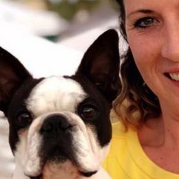 Boston Terriers and French Bulldogs from Maximum Companion