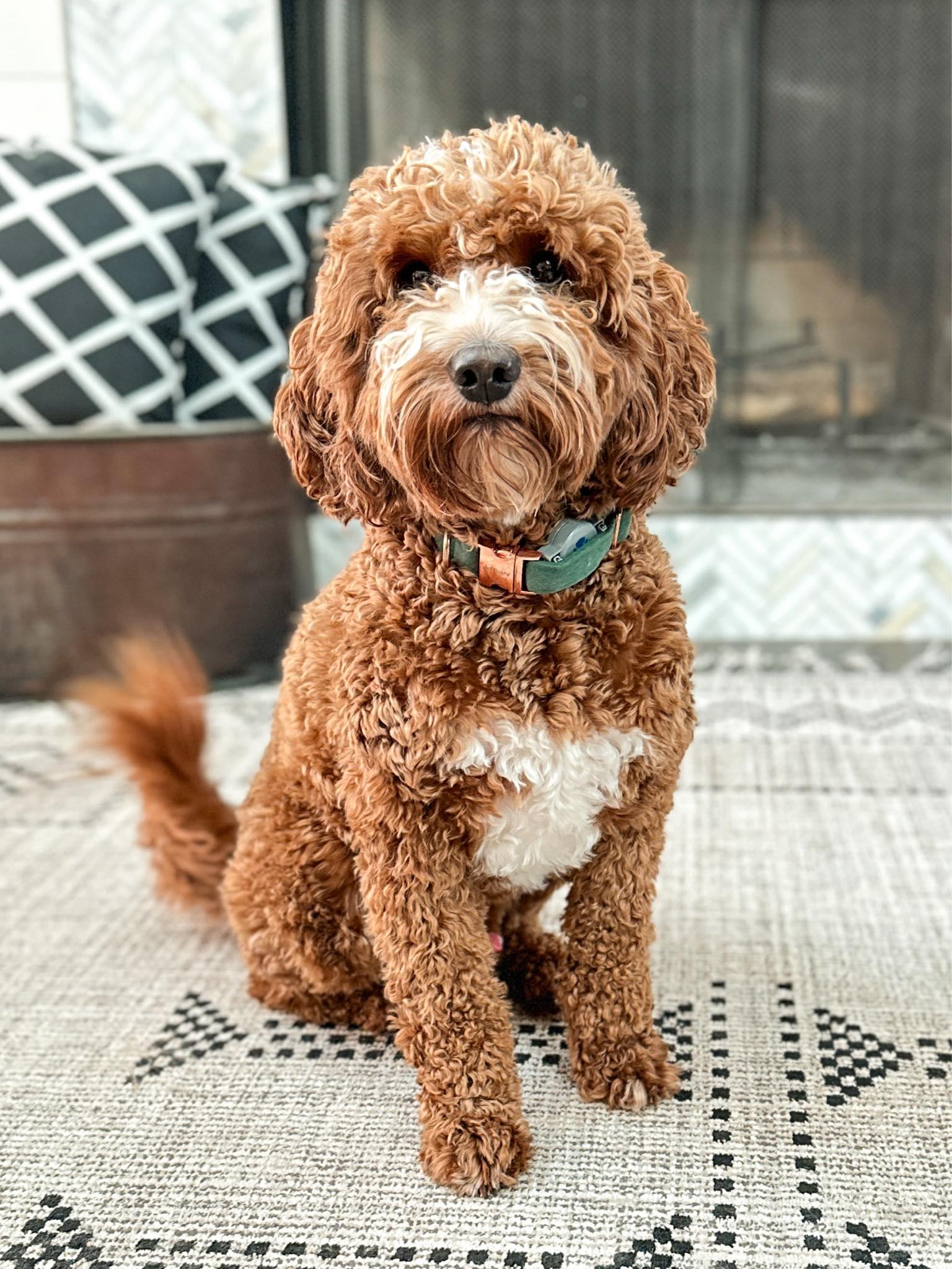 Astro