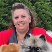 Keeshonden and Pomeranians from Vivid Keeshond and poms