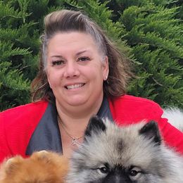Keeshonden and Pomeranians from Vivid Keeshond and poms