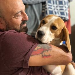 Bunny - Black tan and white female Beagle puppy in Needville, Texas from Rancho Robles Kennels