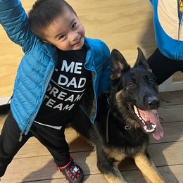Boy 2 - German Shepherd puppy in Modoc County, California from Vom Marischal Working Lines German Shepherd Dogs