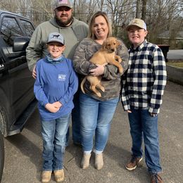 Labrador Retriever Puppies from Sweetwater Labrador Retrievers