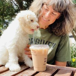 Lagotto Romagnolo and Portuguese Water Dog Puppies from Shooting Star Water Dogs
