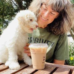 Lagotto Romagnolo and Portuguese Water Dog Puppies from Shooting Star Water Dogs
